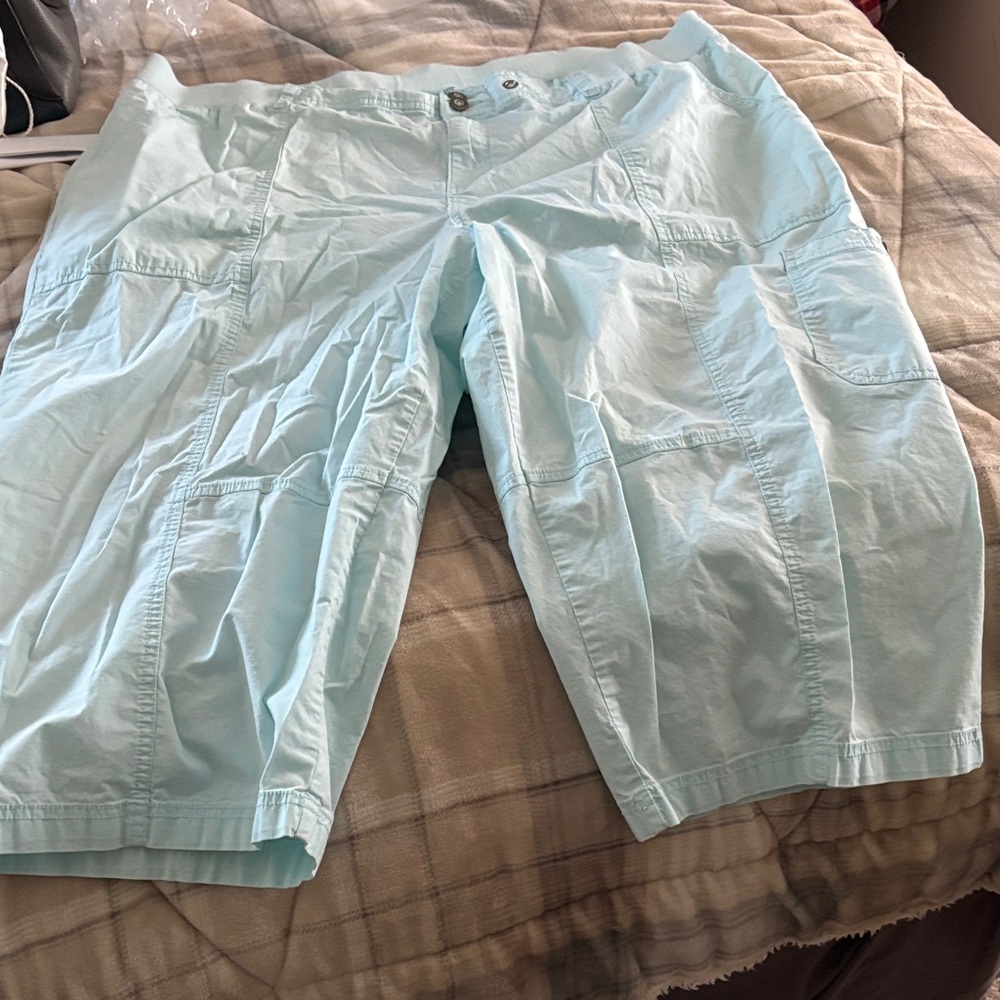 Lane Bryant Light Blue Capris